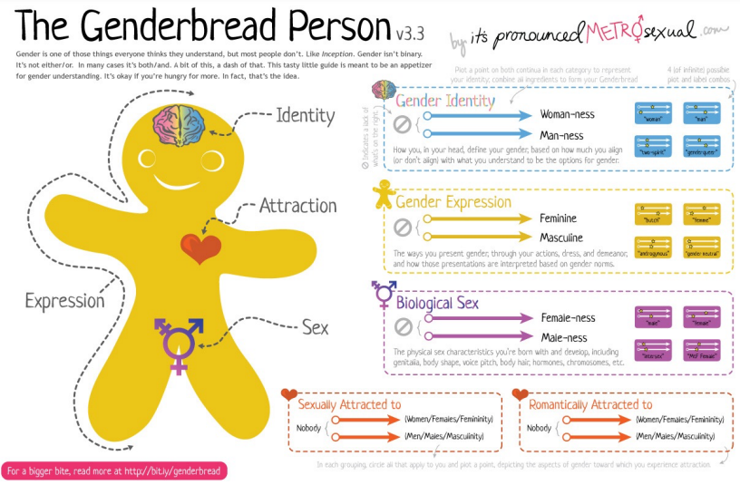 Infographic explaining the difference between gender identity, gender expression, biological sex, sexual attraction, and romantic attraction.